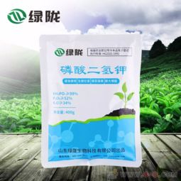 高效二元復合肥葉面肥 磷酸二氫鉀助力膨果著色，賦能生物肥料新趨勢