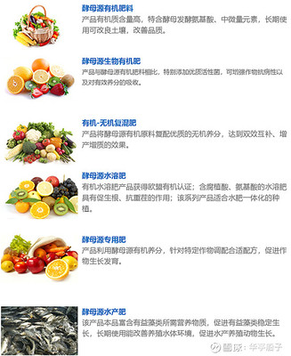 安琪酵母企業(yè)經(jīng)營情況分析 生物肥料板塊的潛力與挑戰(zhàn)